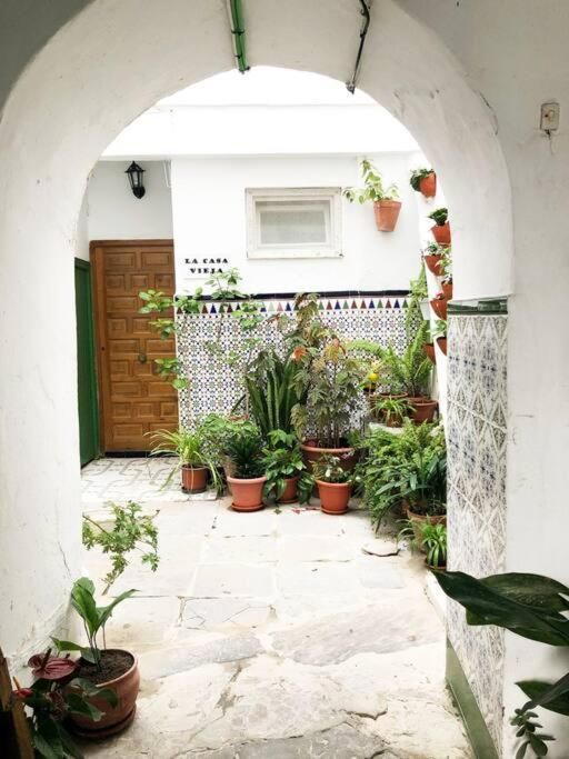 Casa Perla Blanca - A Hidden Gem In The Old Town Lejlighed Tarifa Eksteriør billede